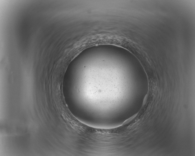 X0000080181489200612151934