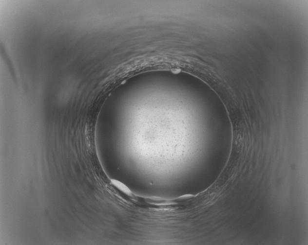 X0000080181490200612151934