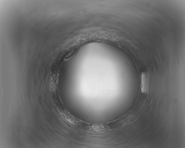 X0000080181491200612151935