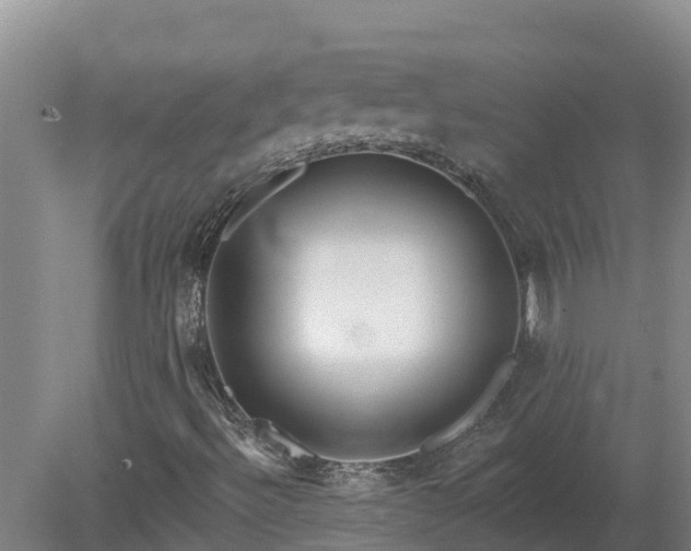 X0000080181492200612151935