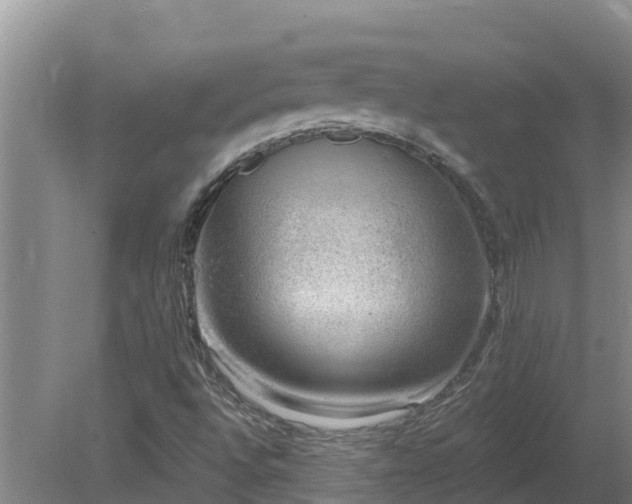 X0000080181496200612151935