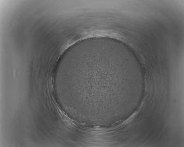 X0000080181497200612151935