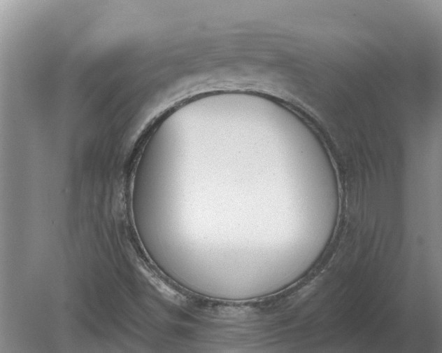 X0000080181498200612151935