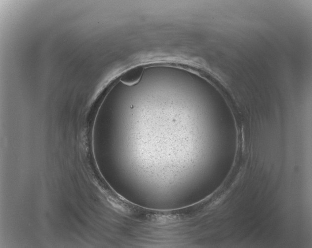 X0000080181501200612151935