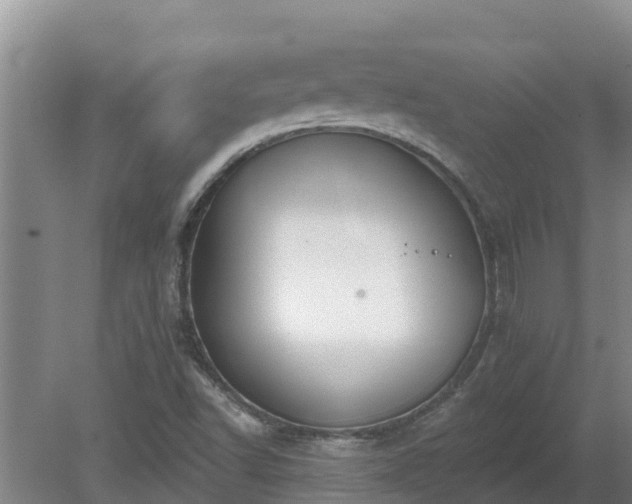 X0000080181502200612151935