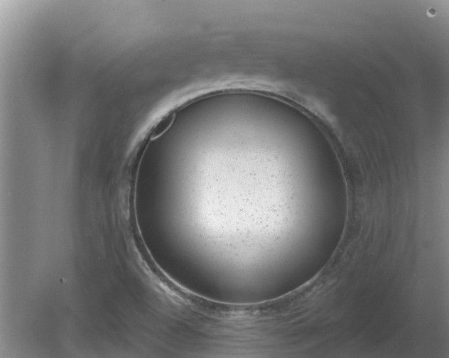 X0000080181504200612151935