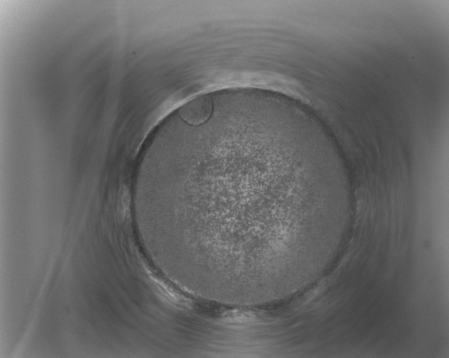 X0000080181505200612151935