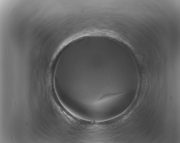 X0000080181506200612151935