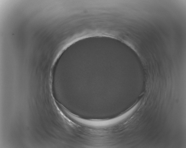 X0000080181508200612151935