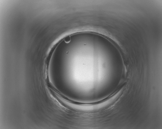 X0000080181510200612151935