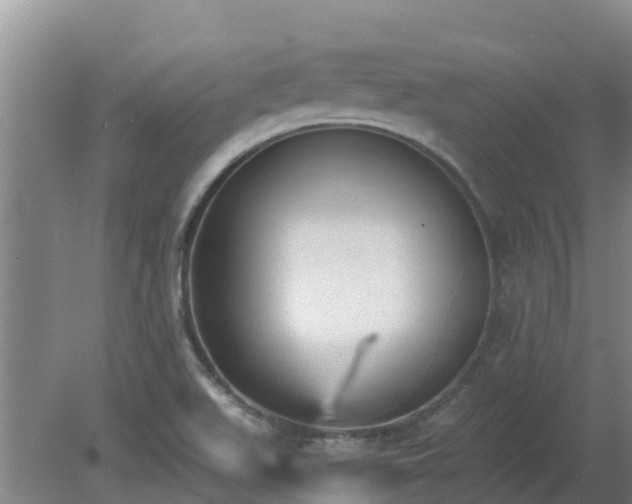 X0000080181511200612151935