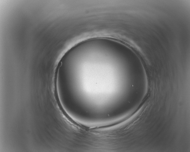 X0000080181512200612151935