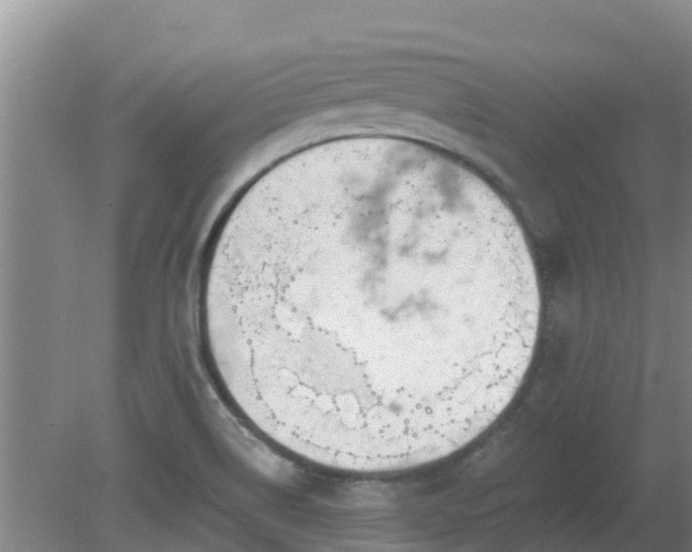 X0000080181514200612151935