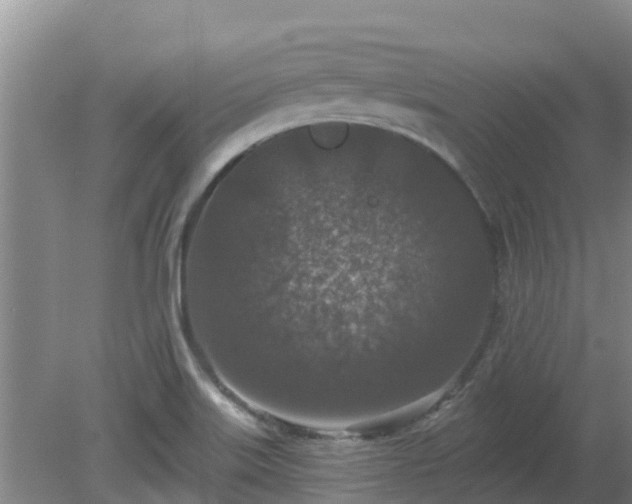 X0000080181515200612151935