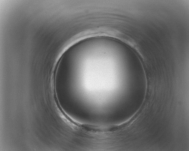 X0000080181516200612151935