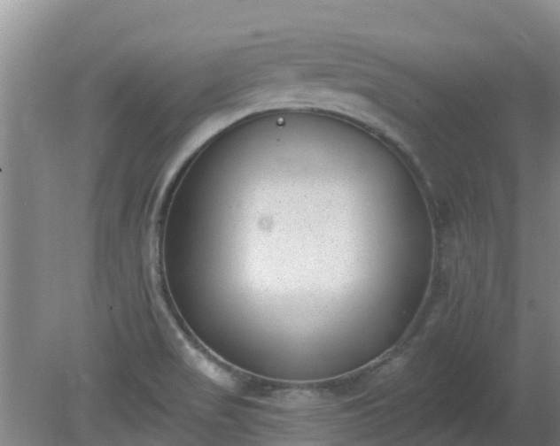 X0000080181517200612151935