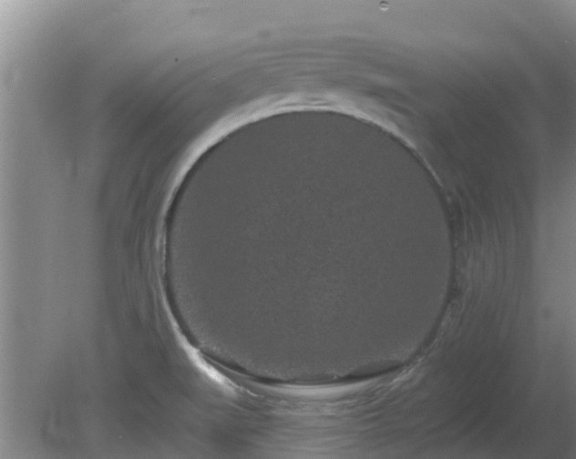 X0000080181519200612151935