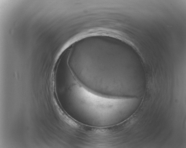 X0000080181522200612151935