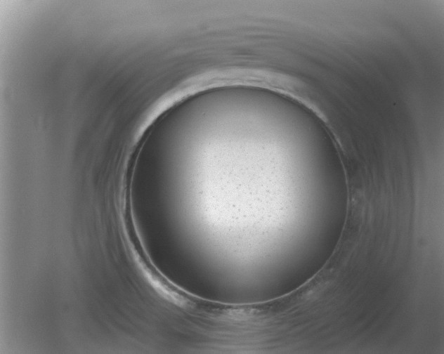 X0000080181523200612151935