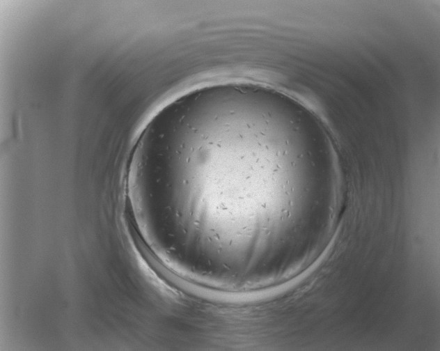 X0000080181524200612151935