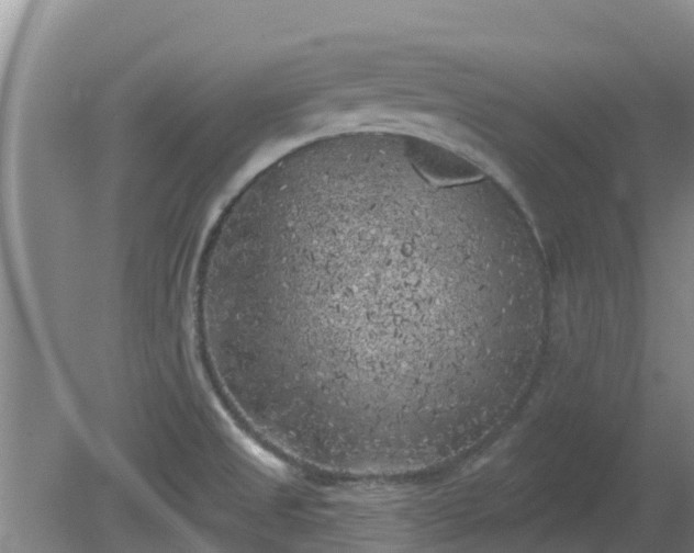 X0000080181525200612151935