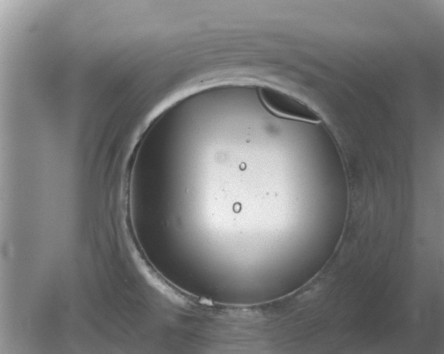 X0000080181526200612151935