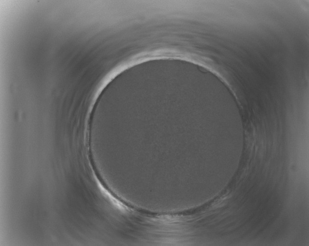 X0000080181527200612151935