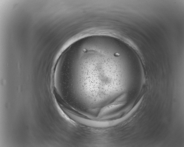 X0000080181528200612151935