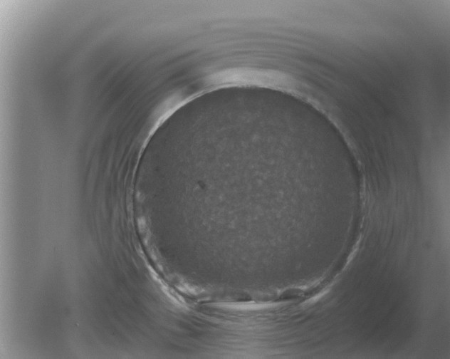 X0000080181529200612151935