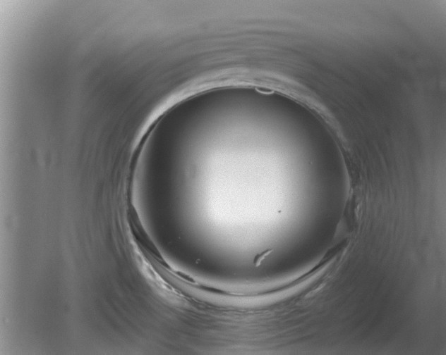 X0000080181530200612151935