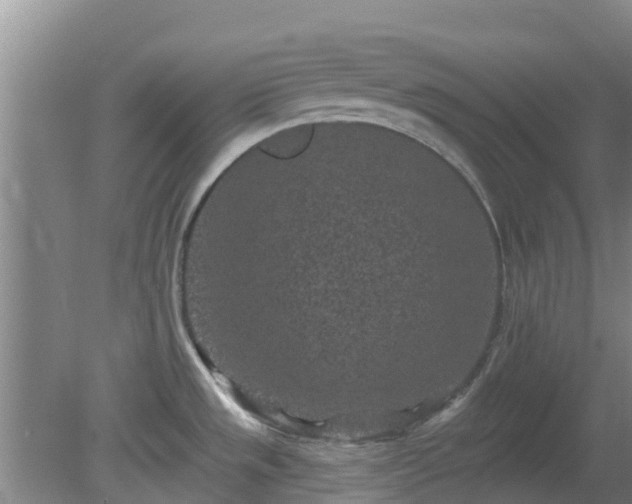 X0000080181533200612151935