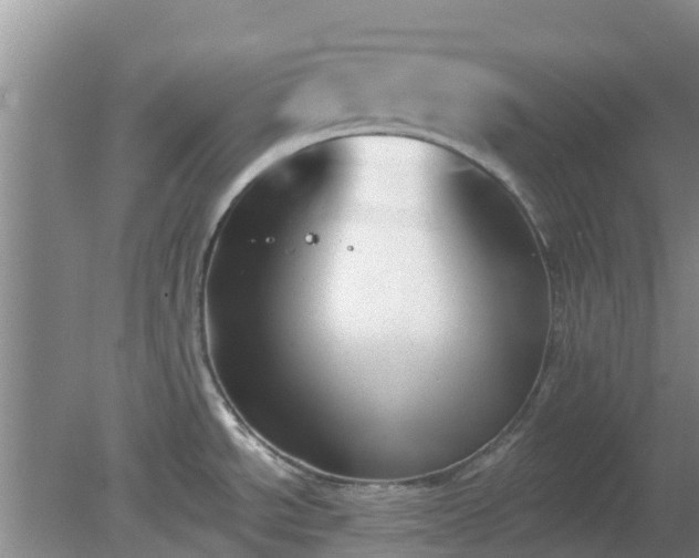 X0000080181534200612151935