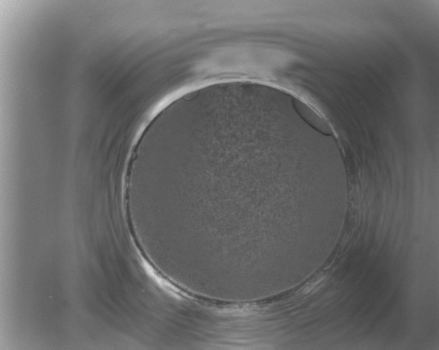 X0000080181535200612151935