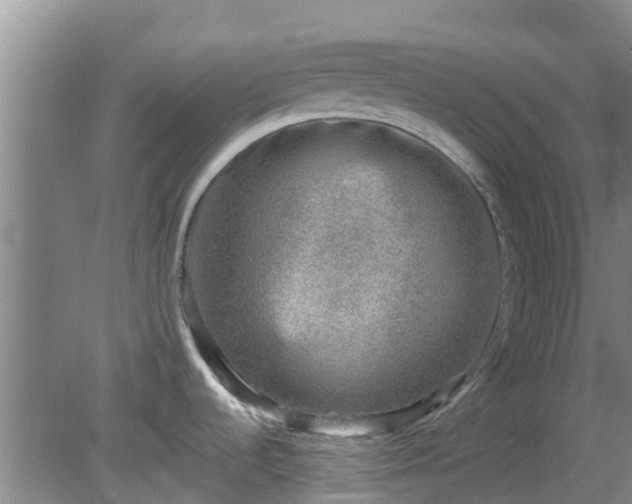 X0000080181536200612151935