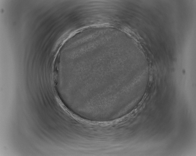 X0000080180002200612221327