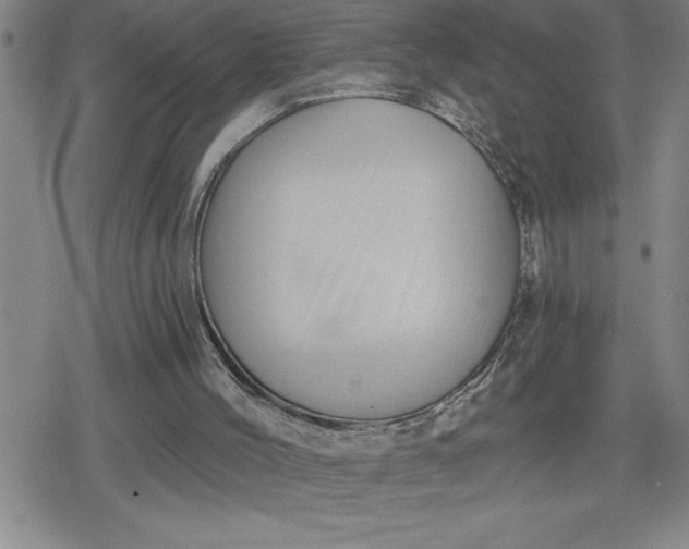 X0000080180004200612221327