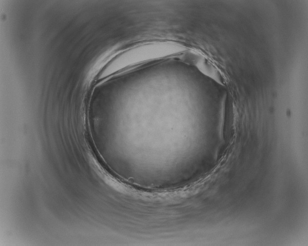 X0000080180005200612221327