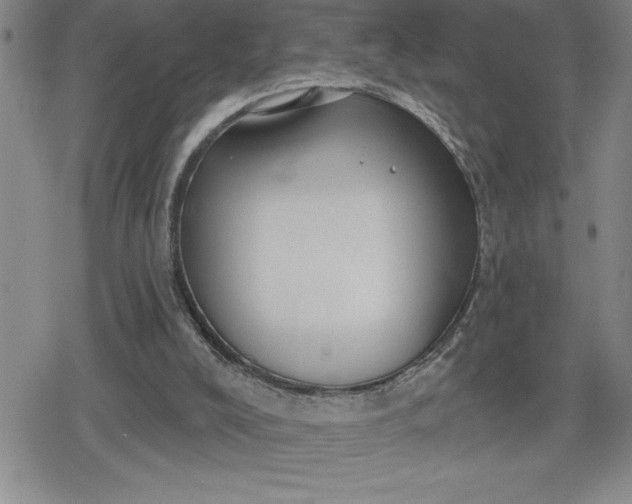 X0000080180008200612221327