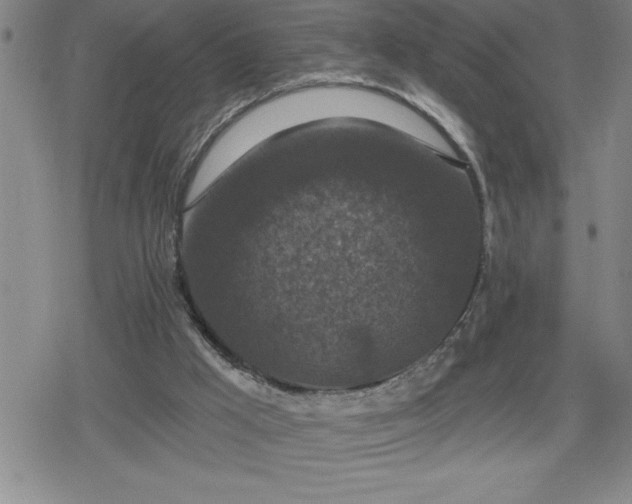 X0000080180009200612221327