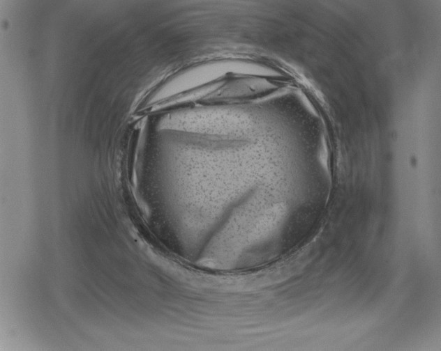 X0000080180010200612221327