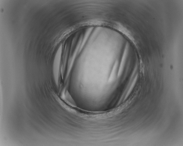 X0000080180013200612221327