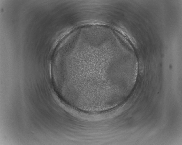 X0000080180014200612221327