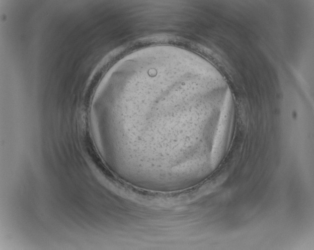 X0000080180016200612221327