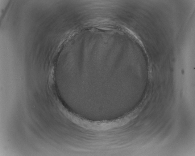 X0000080180018200612221327