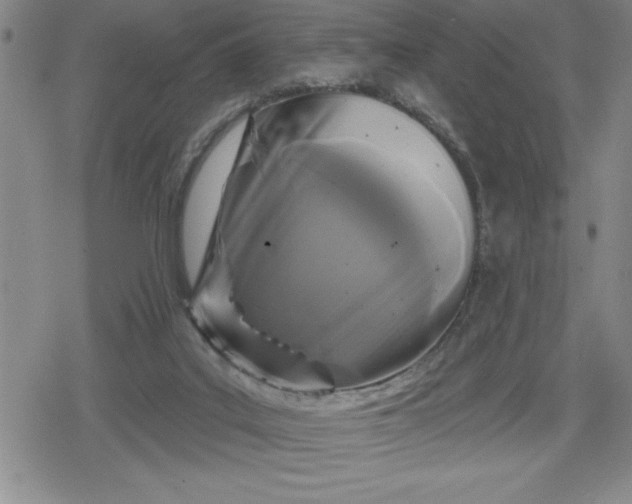 X0000080180019200612221327