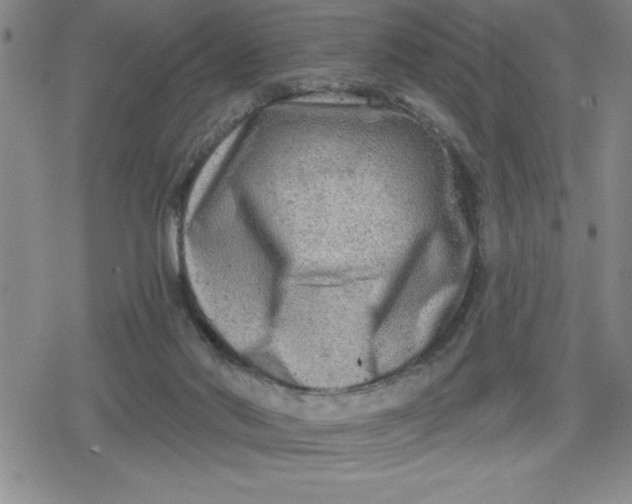 X0000080180022200612221327