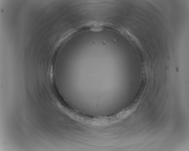 X0000080180024200612221327