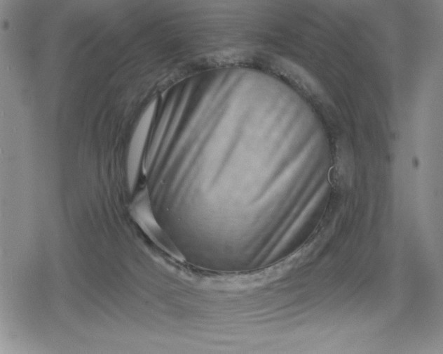 X0000080180025200612221327