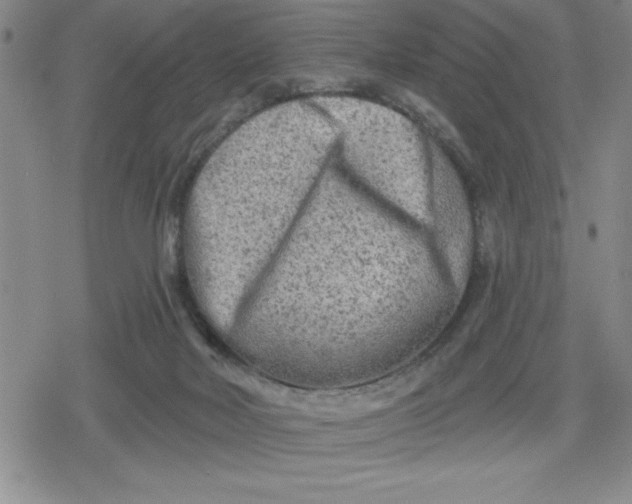 X0000080180026200612221327