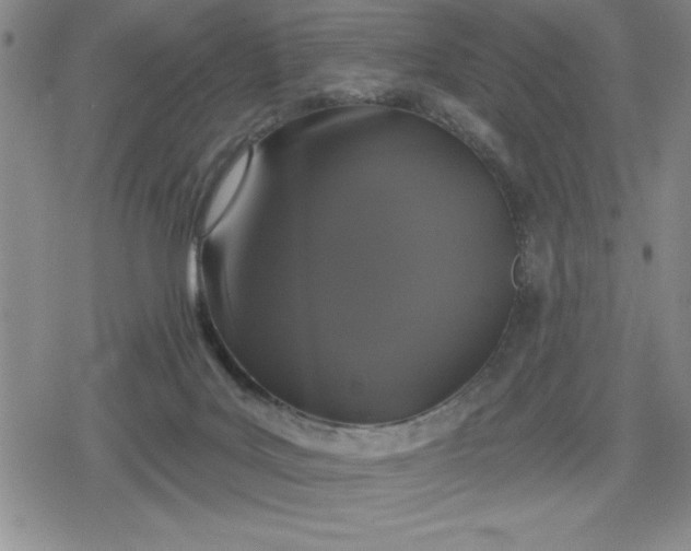 X0000080180027200612221327